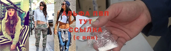 шишки Краснотурьинск