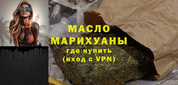 крисы Кулебаки