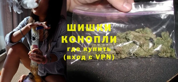 крисы Кулебаки