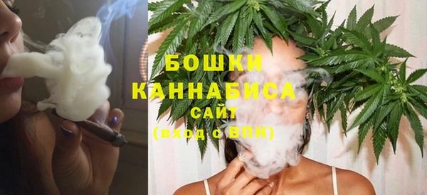 шишки Краснотурьинск